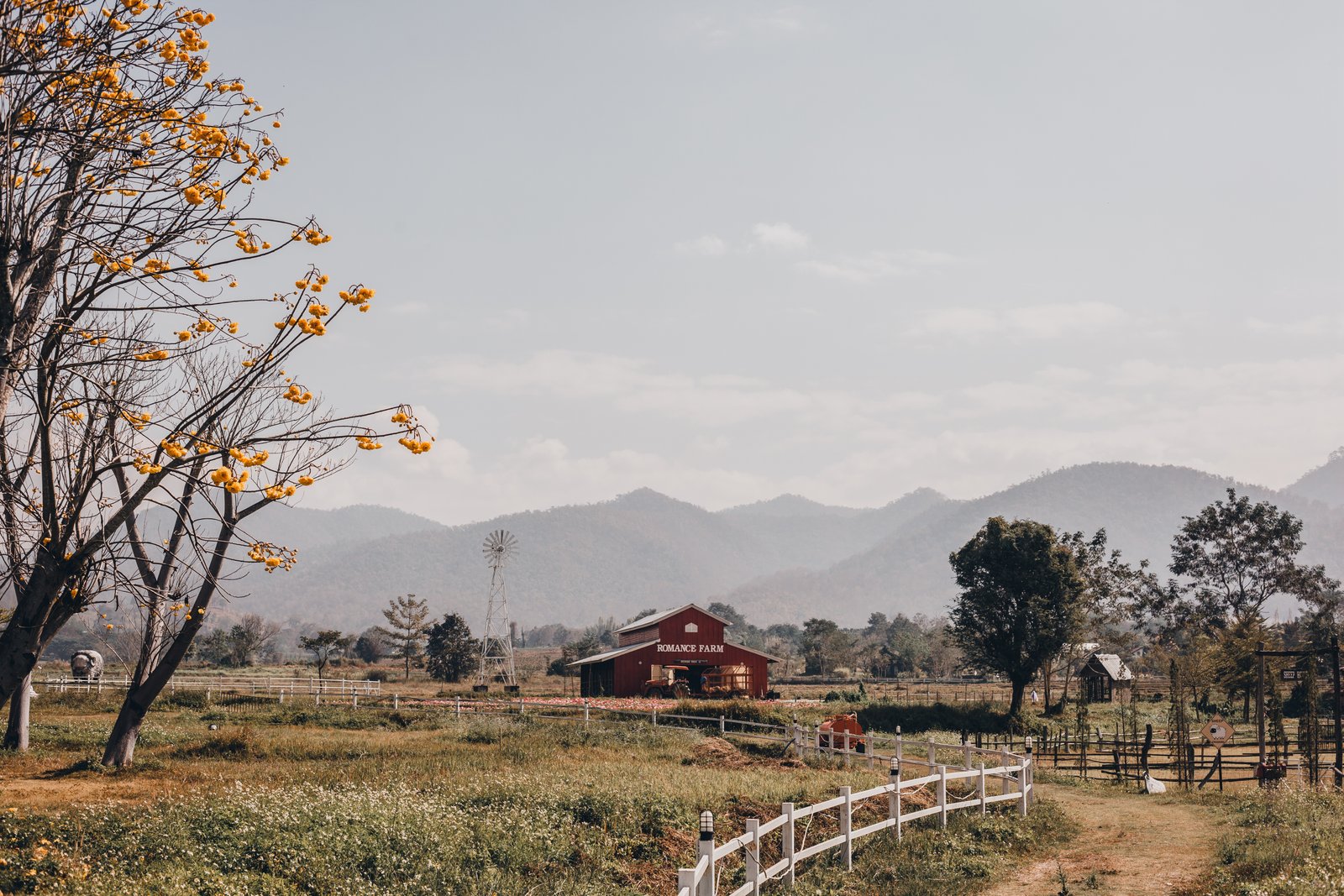 100% Natural &amp; Free Range